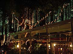 Festive lighting at Thon Krueng