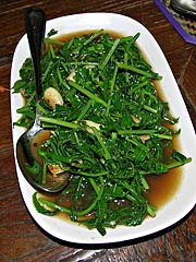 Ferns with Thai oyster sauce