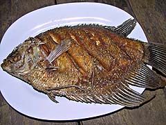 Garani, another delicious fish