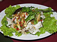 Squid salad
